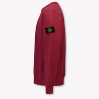 Stone Island Kinder Jongens Trui In Bordeaux