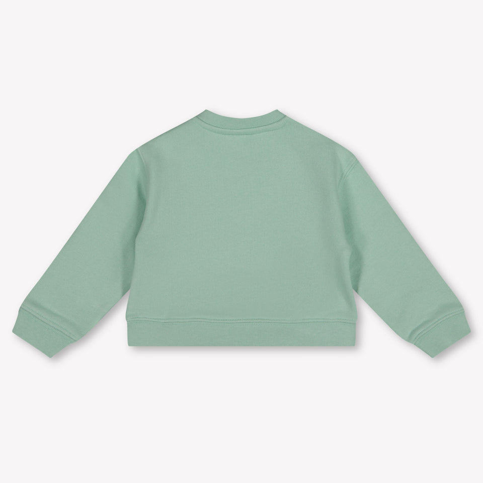 Palm Angels Baby Boys Sweater In Light Green