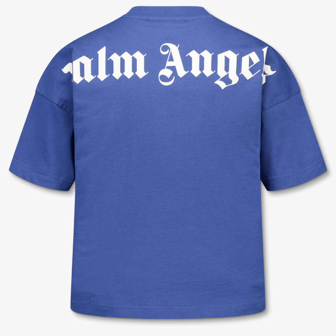 Palm Angels Kids Boys T-Shirt In Blue