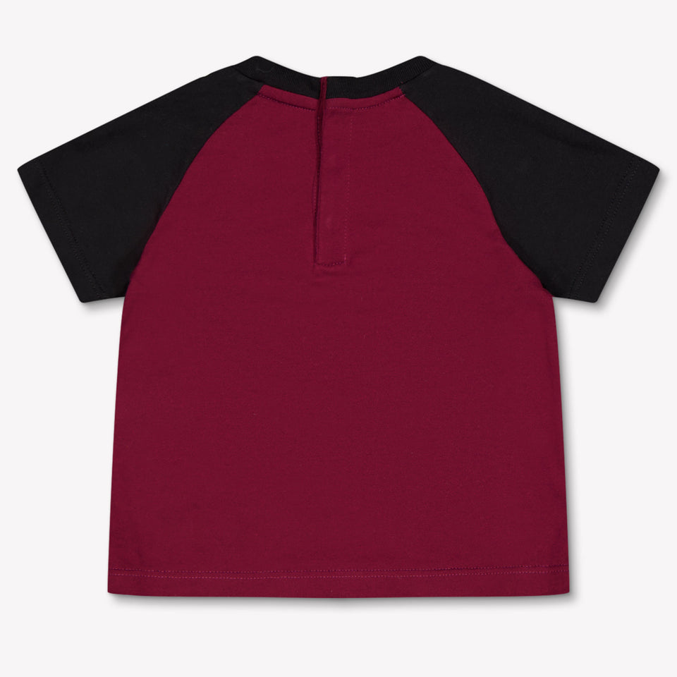 Dolce & Gabbana Baby Jongens T-Shirt In Bordeaux