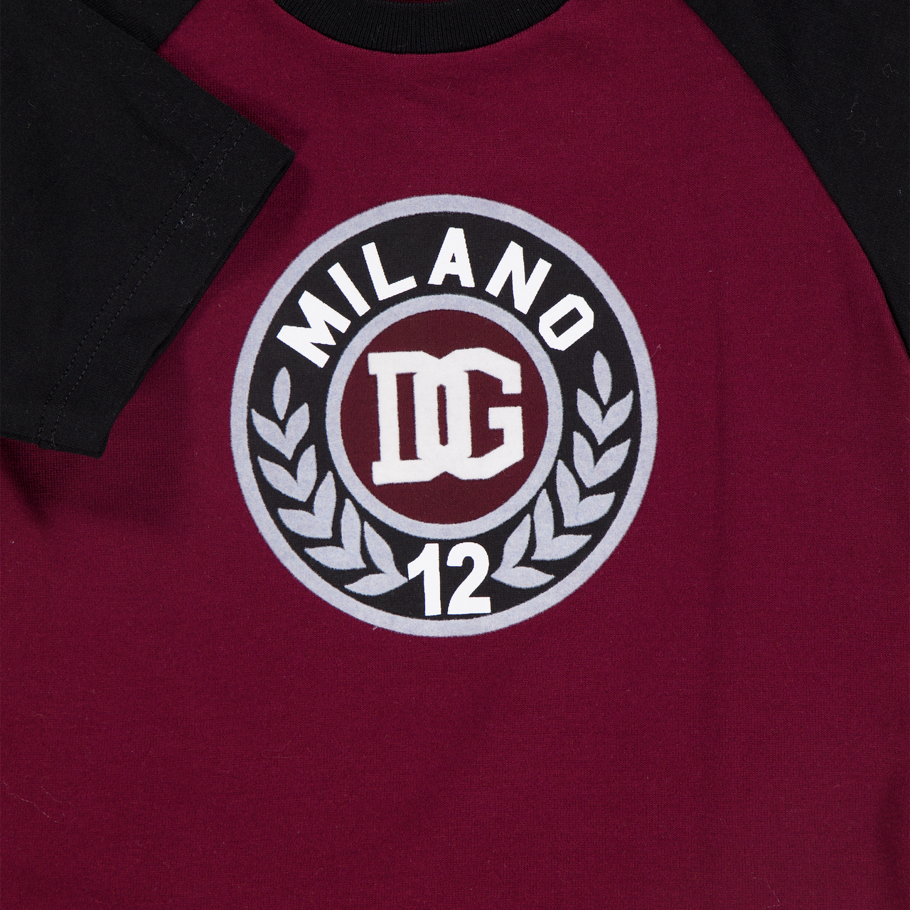 Dolce & Gabbana Baby Boys T-Shirt In Bordeaux