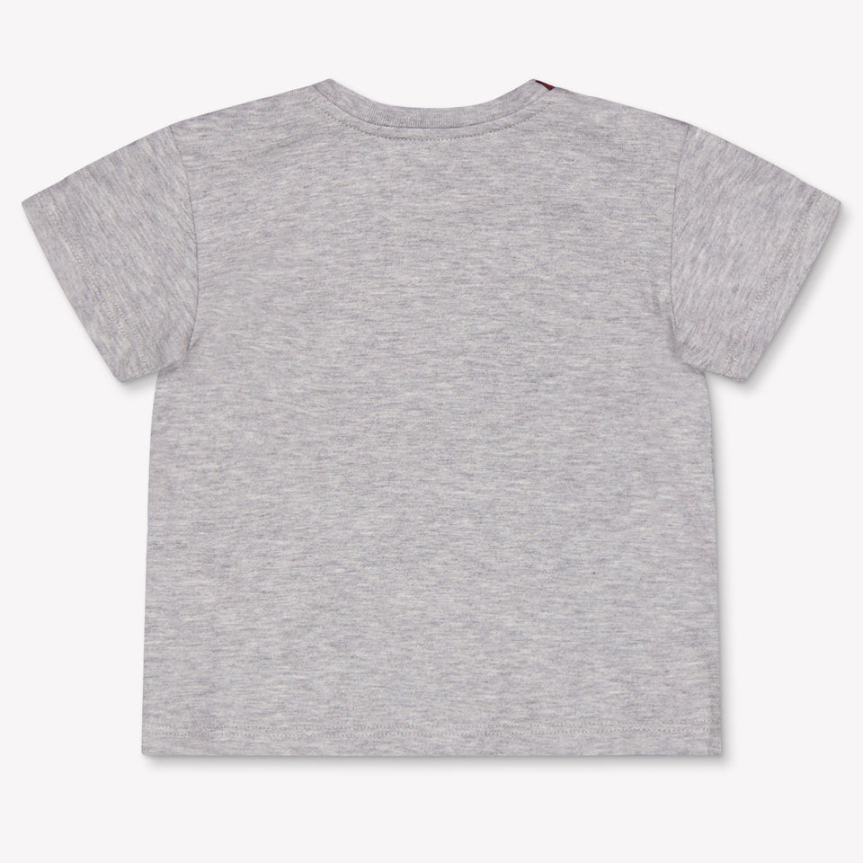 Dolce & Gabbana Baby Boys T-Shirt In Gray