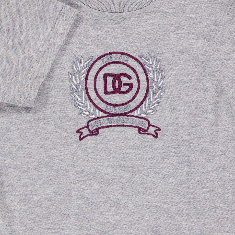 Dolce & Gabbana Baby Boys T-Shirt In Gray