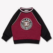 Dolce & Gabbana Baby Boys Sweater In Bordeaux