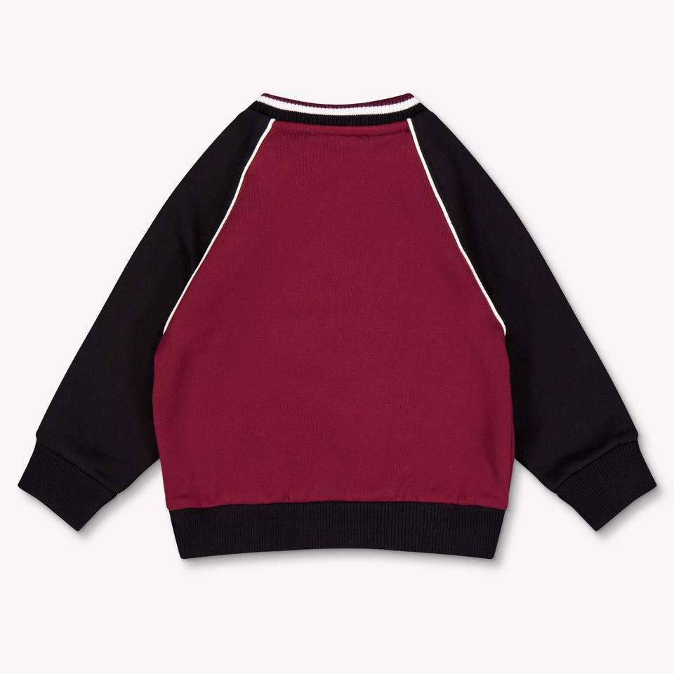 Dolce & Gabbana Baby Boys Sweater In Bordeaux