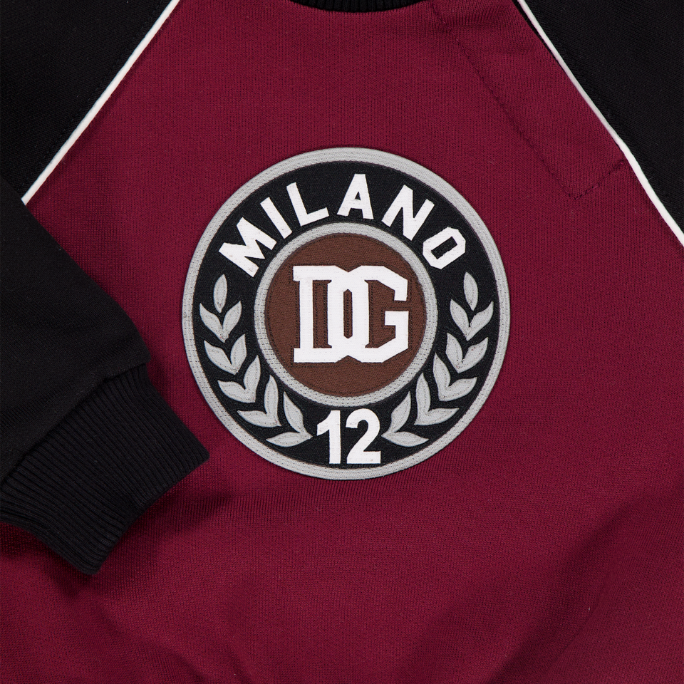 Dolce & Gabbana Baby Boys Sweater In Bordeaux