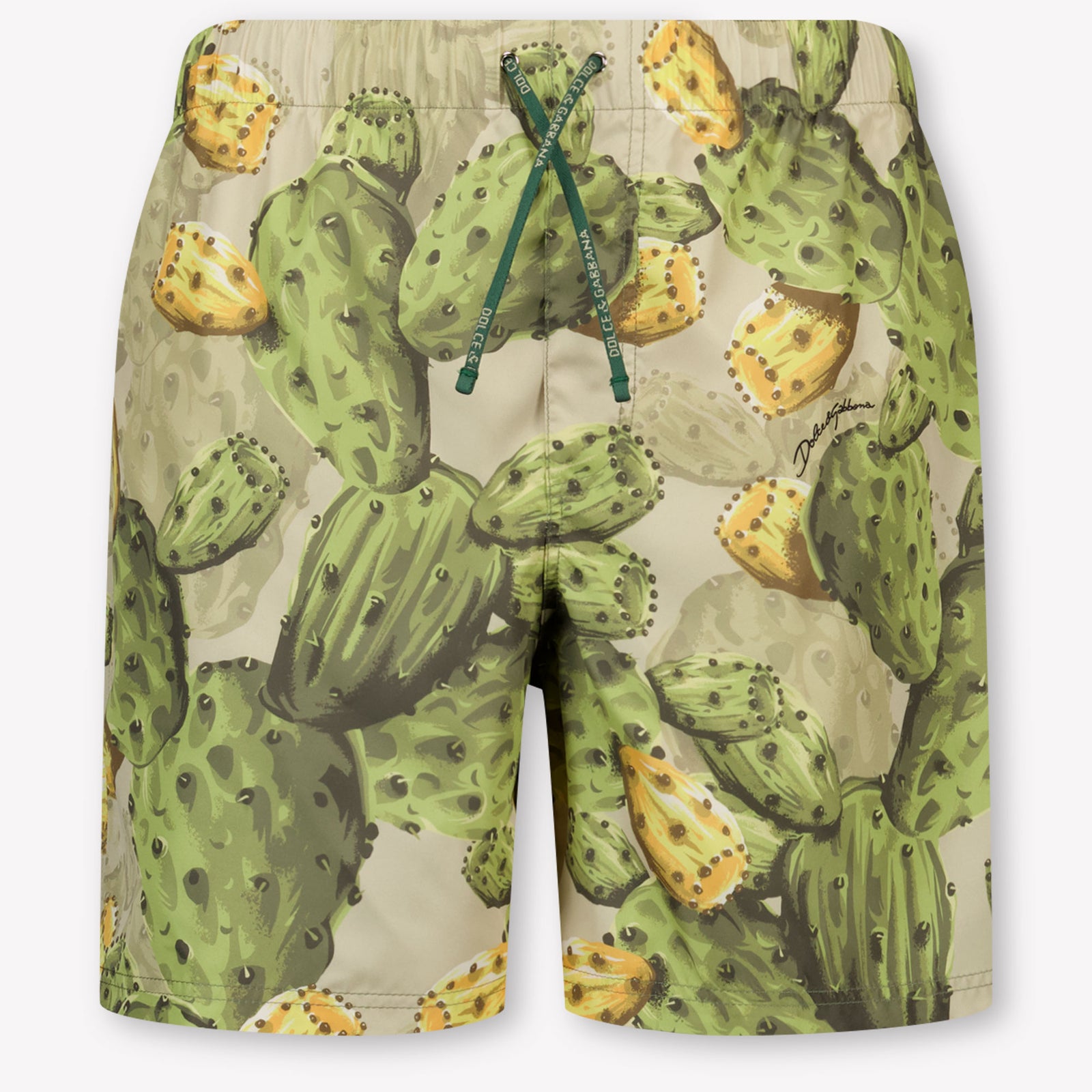 Dolce & Gabbana Kids Boys Swimwear In Green