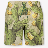 Dolce & Gabbana Kids Boys Swimwear In Green