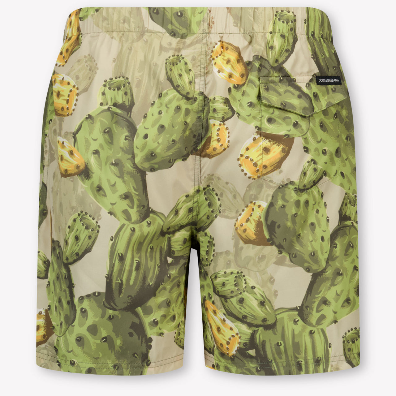 Dolce & Gabbana Kids Boys Swimwear In Green