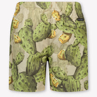 Dolce & Gabbana Kids Boys Swimwear In Green
