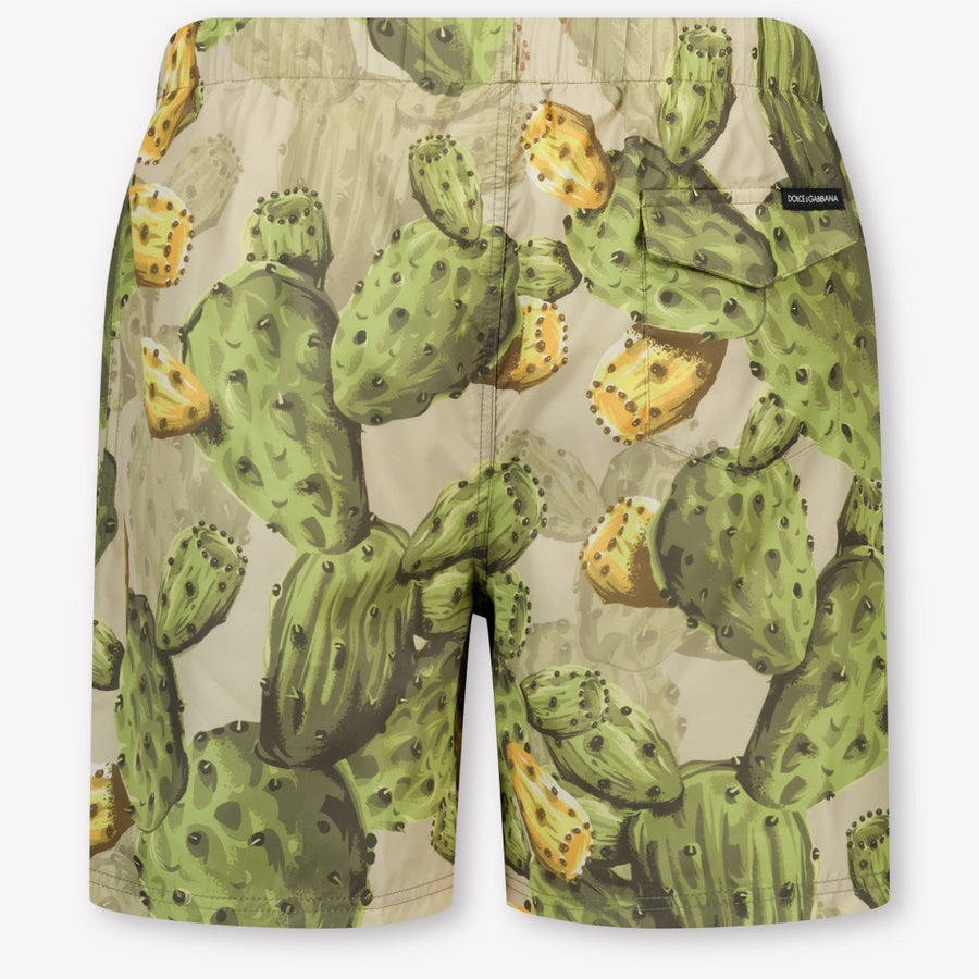 Dolce & Gabbana Kids Boys Swimwear In Green