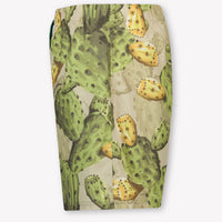Dolce & Gabbana Kids Boys Swimwear In Green