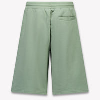 Dolce & Gabbana Kids Boys Shorts In Light Green
