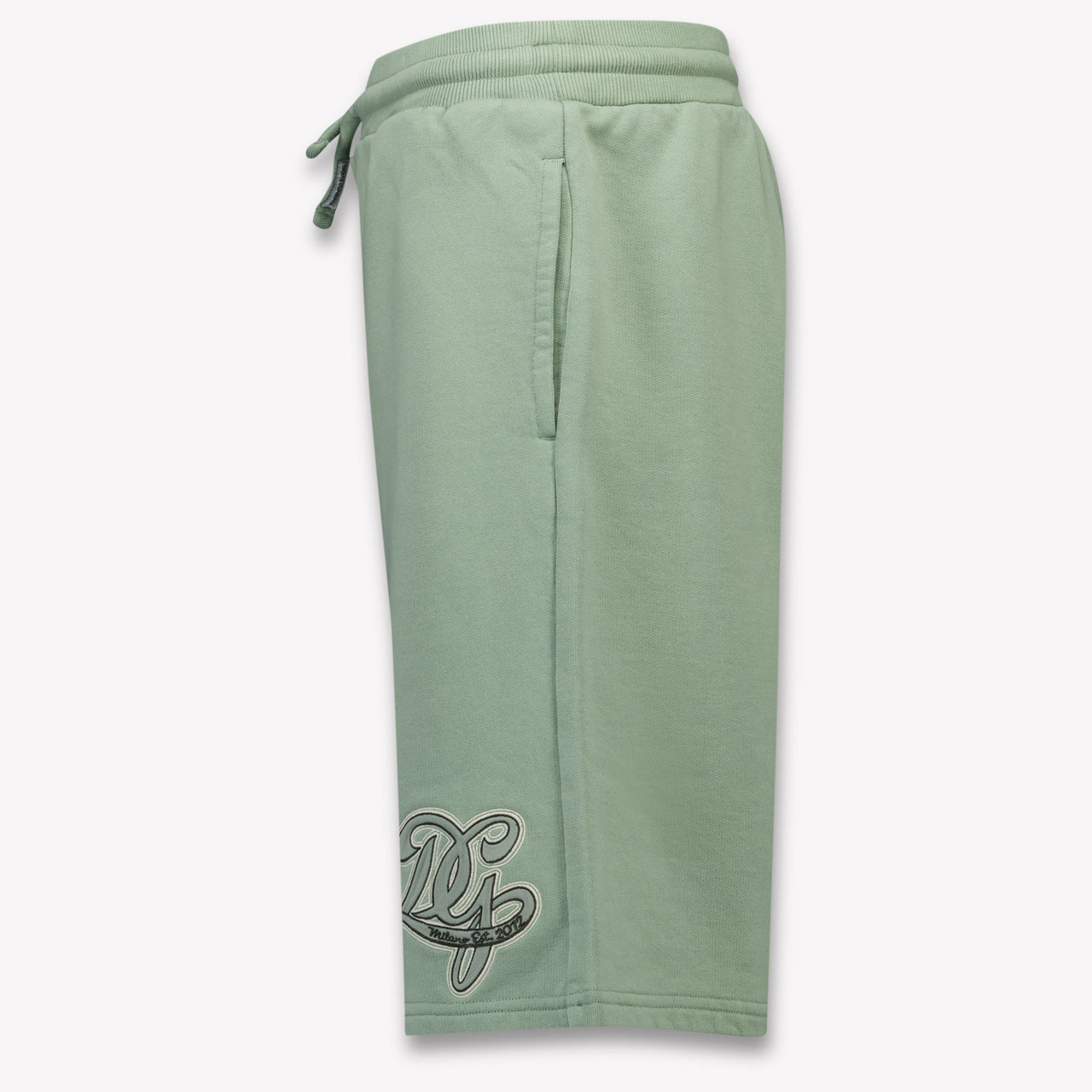Dolce & Gabbana Kids Boys Shorts In Light Green