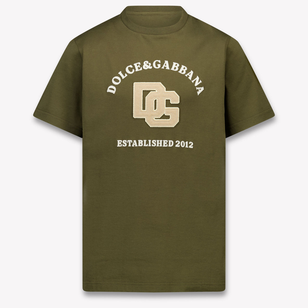Dolce & Gabbana Kids Boys T-Shirt In Brown