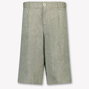 Dolce & Gabbana Kids Boys Shorts In Light Green