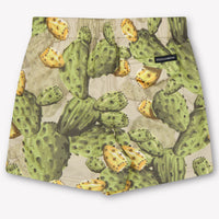 Dolce & Gabbana Baby Jongens Zwemkleding In Groen