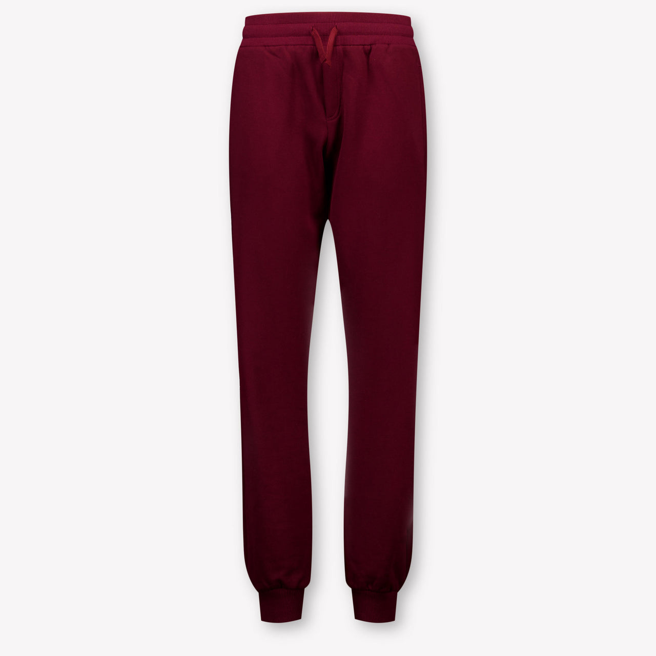 Dolce & Gabbana Kids Boys Pants In Bordeaux