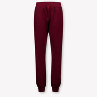 Dolce & Gabbana Kids Boys Pants In Bordeaux