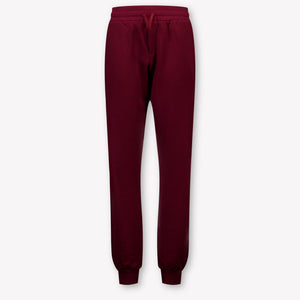 Dolce & Gabbana Kids Boys Pants In Bordeaux