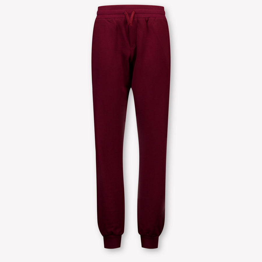 Dolce & Gabbana Kids Boys Pants In Bordeaux