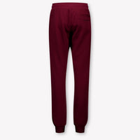 Dolce & Gabbana Kids Boys Pants In Bordeaux