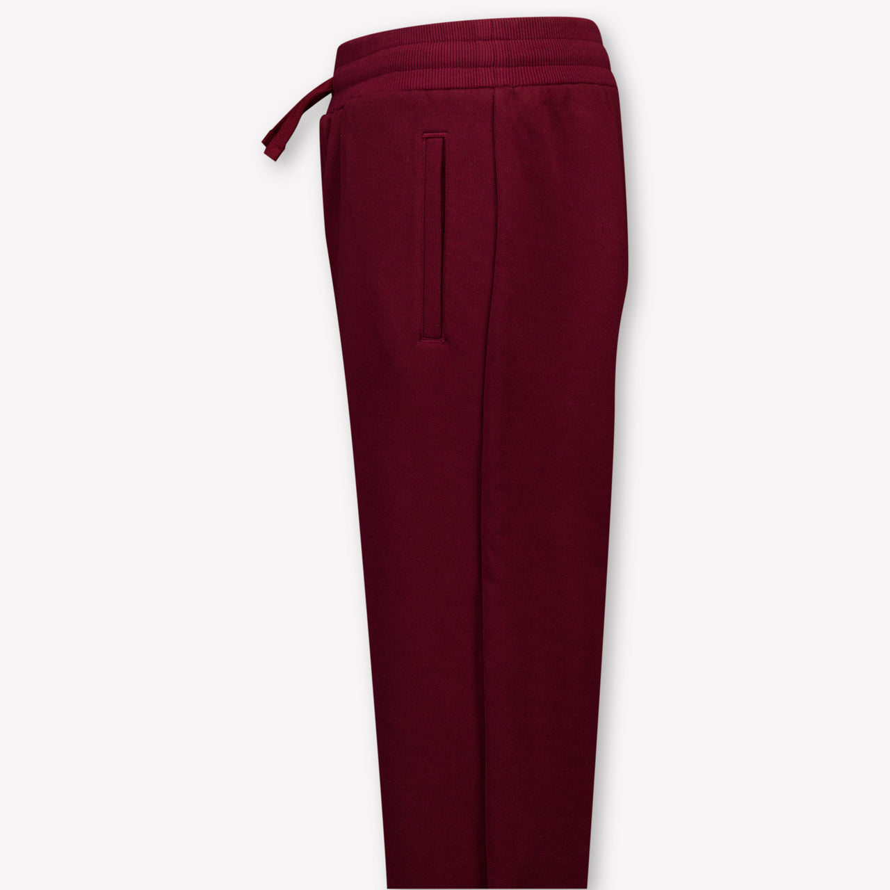 Dolce & Gabbana Kids Boys Pants In Bordeaux