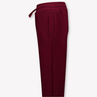 Dolce & Gabbana Kids Boys Pants In Bordeaux