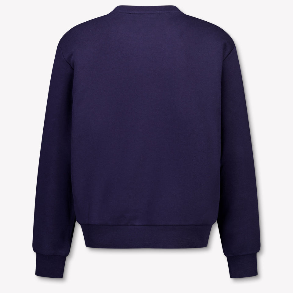 Iceberg Kids Boys Sweater In Navy