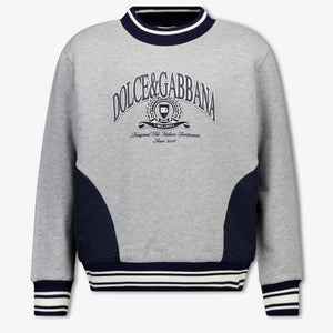 Dolce & Gabbana Kids Boys Sweater In Gray