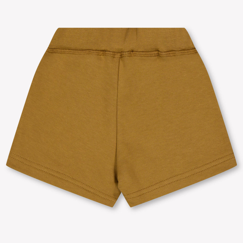 Dsquared2 Baby Boys Shorts In Camel