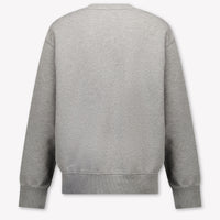 Diesel Kids Boys Sweater In Gray