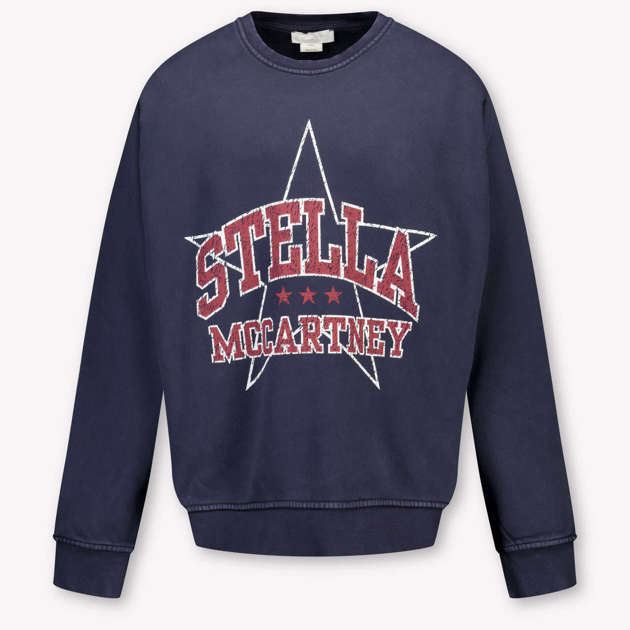 Stella McCartney Kids Girls Sweater In Navy