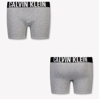 Calvin Klein Kids Boys Underwear In Gray