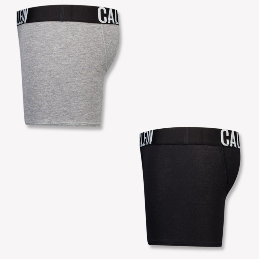 Calvin Klein Kids Boys Underwear In Gray