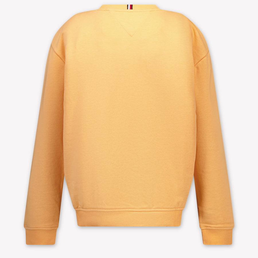 Tommy Hilfiger Kids Boys Sweater In Salmon