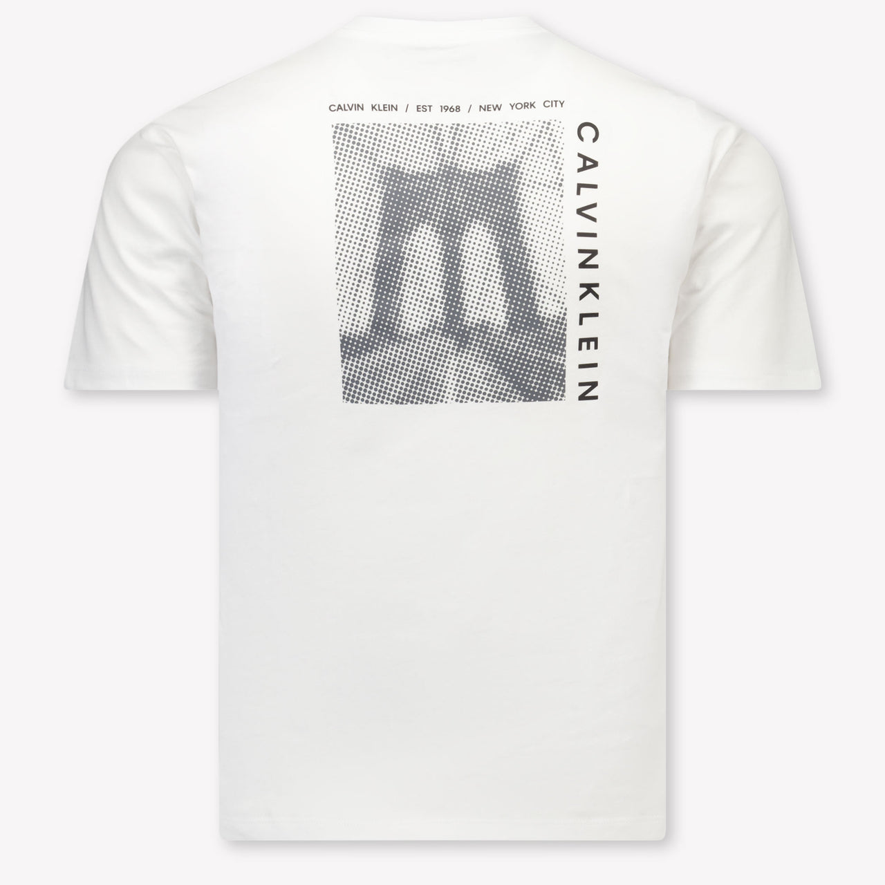 Calvin Klein Kids Boys T-Shirt In White
