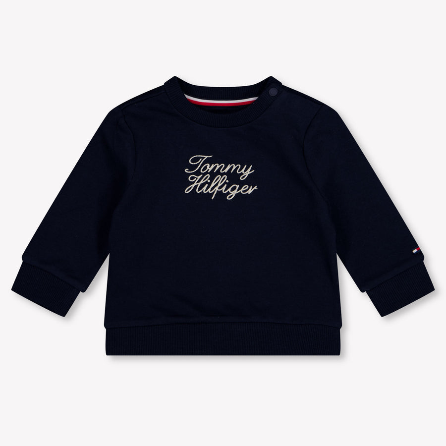 Tommy Hilfiger Baby Boys Sweater In Navy