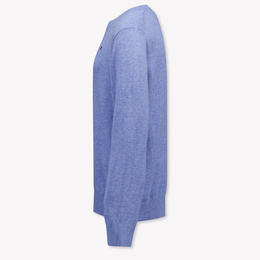 Tommy Hilfiger Kids Boys Sweater In Light Blue