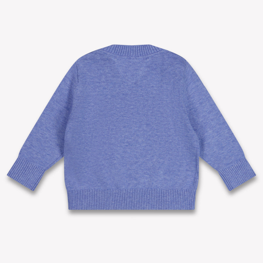 Tommy Hilfiger Baby Boys Sweater In Blue