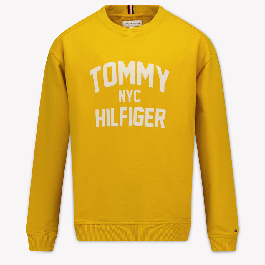 Tommy Hilfiger Boys Sweater in Yellow