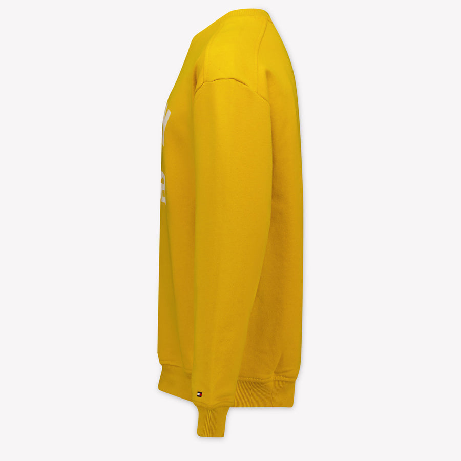 Tommy Hilfiger Kids Boys Sweater In Yellow