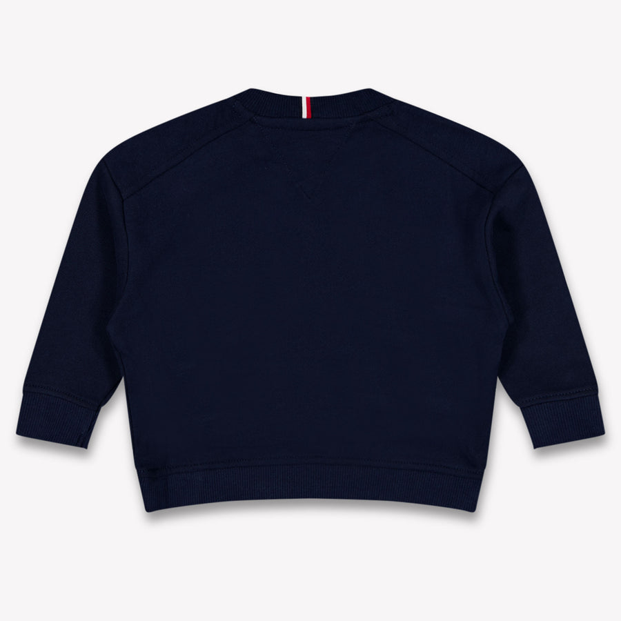 Tommy Hilfiger Baby Boys Sweater In Navy