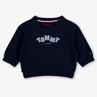Tommy Hilfiger Baby Boys Sweater In Navy