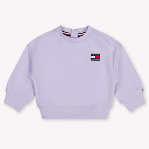 Tommy Hilfiger Baby Girls Sweater In Lilac