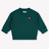 Tommy Hilfiger Baby Unisex Sweater In Dark Green