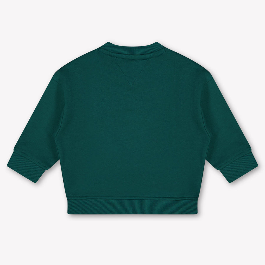 Tommy Hilfiger Baby Unisex Sweater In Dark Green