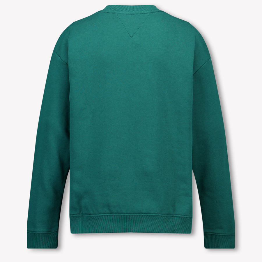 Tommy Hilfiger Unisex Kids Sweater in Green