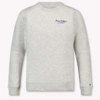 Tommy Hilfiger Kids Boys Sweater In Gray