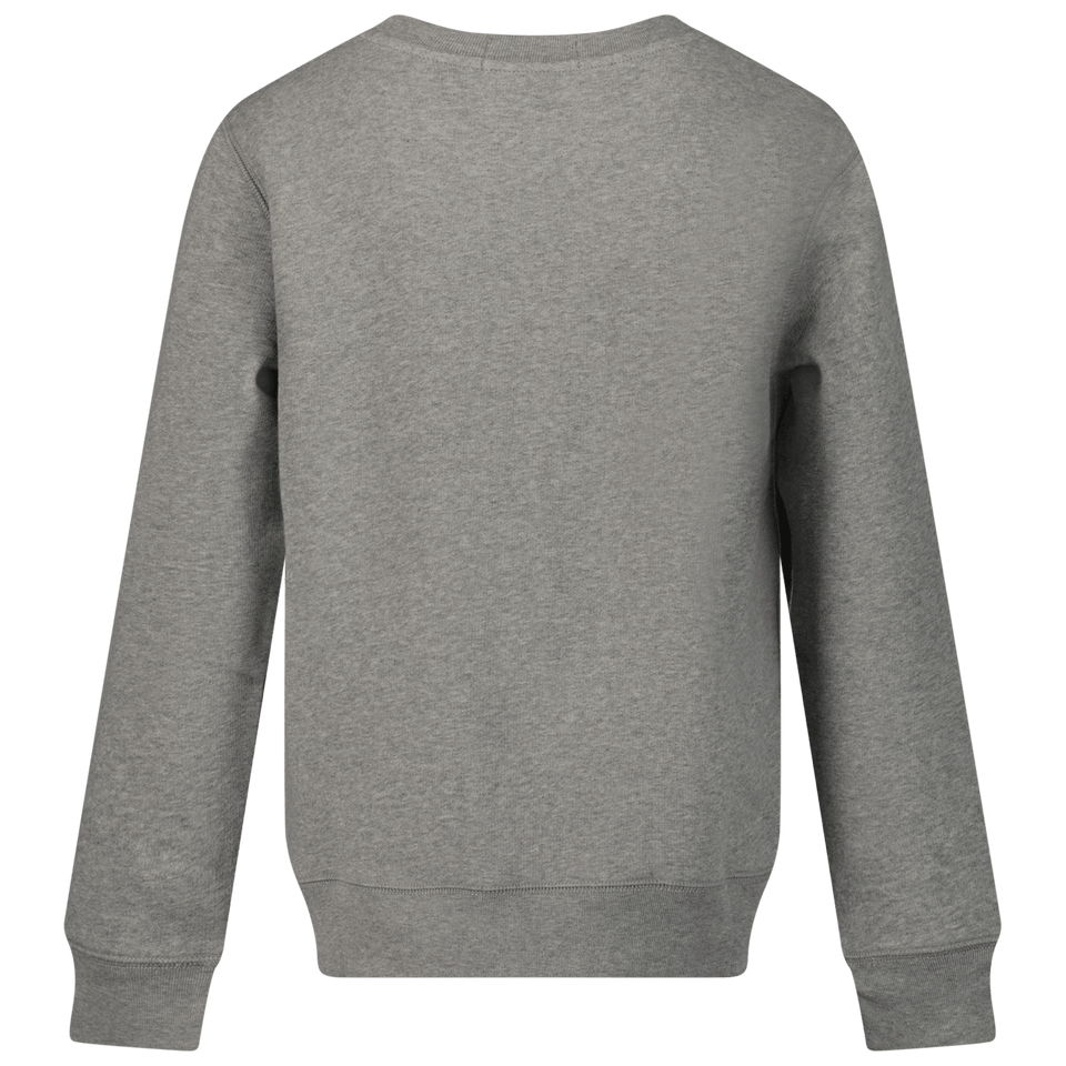 Ralph Lauren Kids Boys Sweater Grey